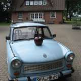 Kirsche 1